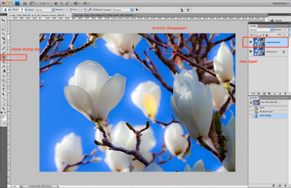 Photoshop screenshot_1050-006.4mag_glow with boxes