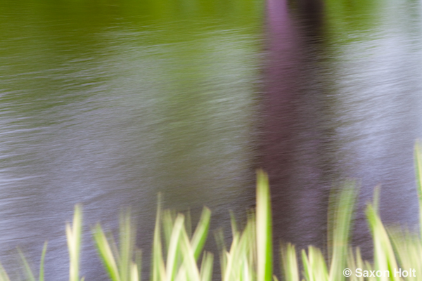 blurry water, windy pond