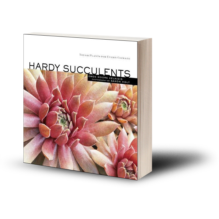 Hardy Succulents – The Book