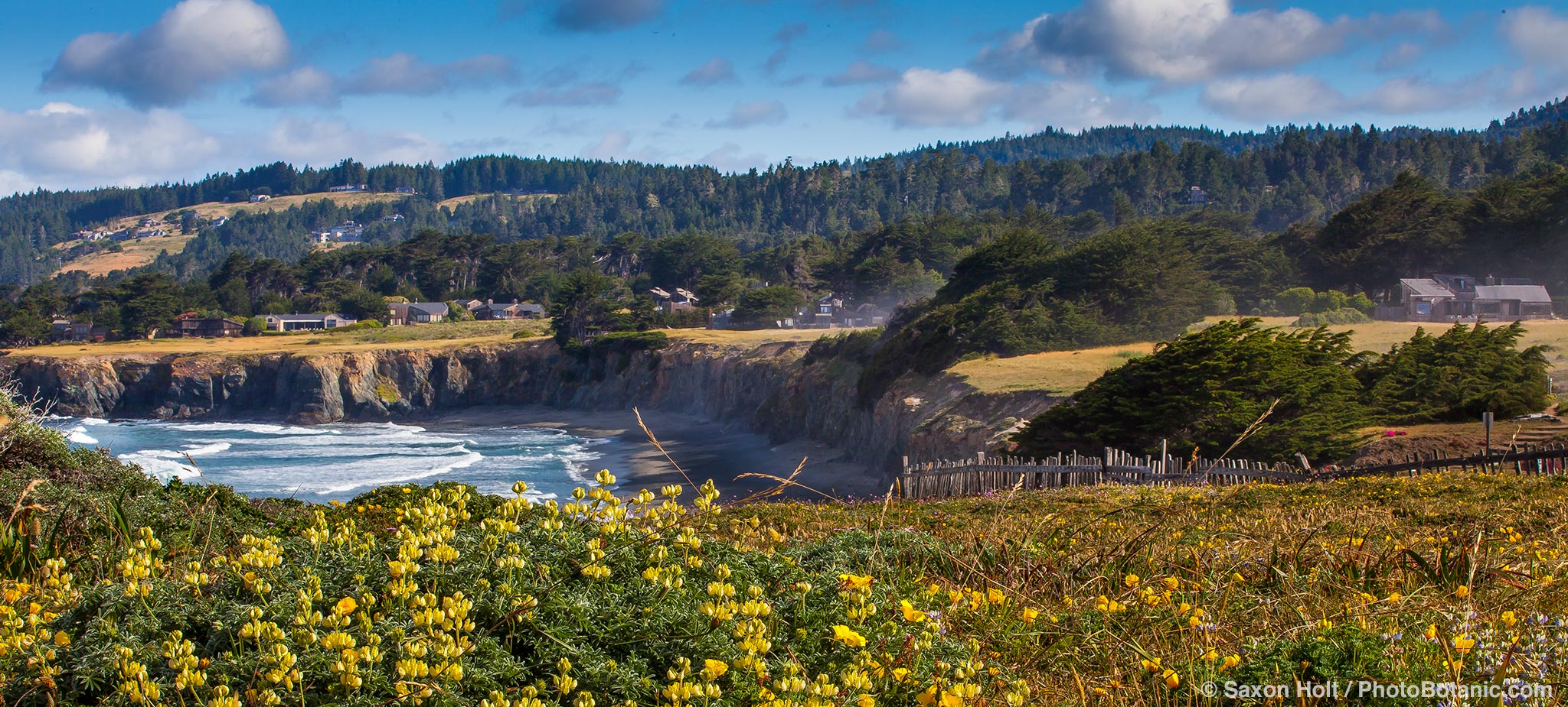 Coastal homes around The Sea Ranch Meadow seen from Black Point Beach, protected by hedgerows for privacy and wind protection
